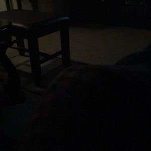 Meet your Posher, Frank